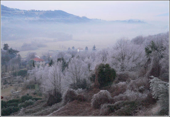 Galaverna sui Colli Brianzoli presso S.Maria Hoè - Foto di Livio Perego