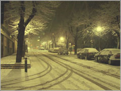 Viale innevato a Calolziocorte - Foto di Ivan Pizzolato